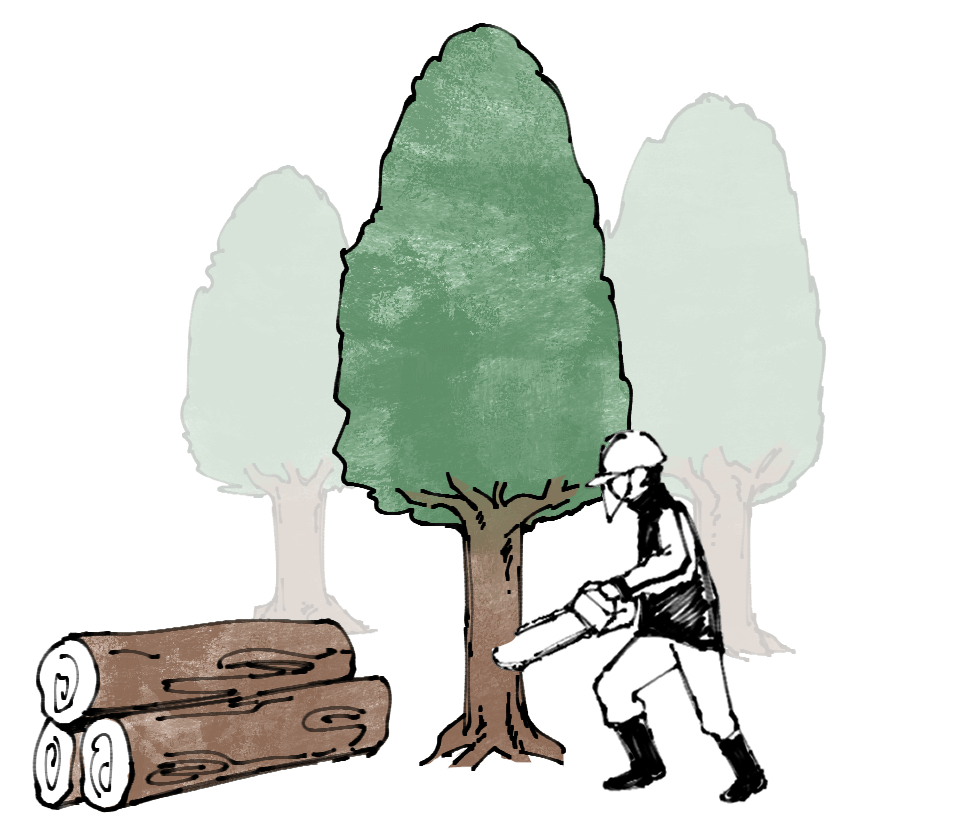 わたしたちが考える木育のイメージイラスト