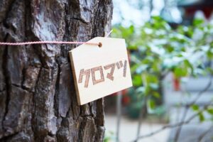 神社の樹木に樹木プレートづくり／あかつつみ幼稚園