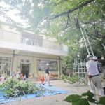 伐採される園庭の桜の木を使った木育ワークショップ