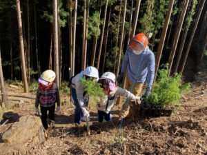 植樹体験の遠足が育む樹木とつながる時間／田中保育園・みのり保育園