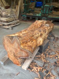 思い出の詰まったソメイヨシノを未来につなぐ②　引取・製材