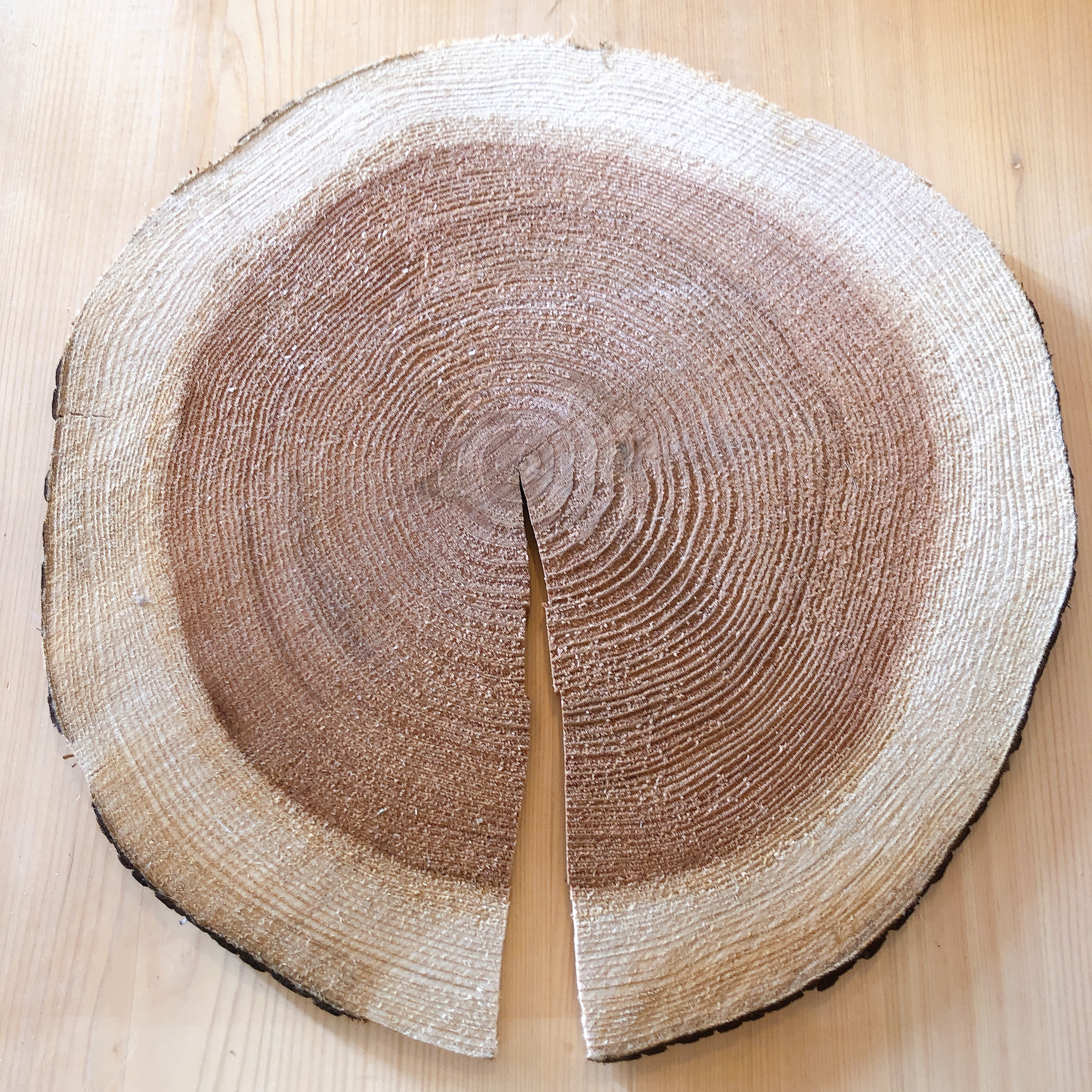 薄切りにした丸太（1センチ）